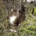 Soph-bags in the apple trees, Mother and Mike, Rachel and Sam, and the Scan That Changes Everything - 30th March 2008