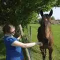 Isobel says hello to a horse, The BSCC Weekend Away, Thaxted, Essex - 10th May 2008