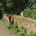 The cat watches us from the wall, The BSCC Weekend Away, Thaxted, Essex - 10th May 2008