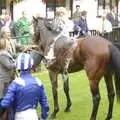 A horse gets a bucket of water after the race, A Day At The Races, Newmarket, Suffolk - 23rd August 2008