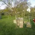 The apple harvest, Bill and Carmen's Post-Wedding Thrash, Yaxley Cherry Tree, Suffolk - 8th November 2008