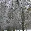 There's a tiny bit of colour in the leaves, Snow Days, Brome, Suffolk - 22nd November 2008