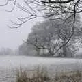 A snowy field, Zack's Birthday, and a Walk in the Forest, Cambridge and East Harling, Norfolk - 21st February 2009