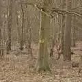 The answer to the ultimate question is written in the trees, Zack's Birthday, and a Walk in the Forest, Cambridge and East Harling, Norfolk - 21st February 2009