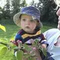 Fred looks at apple blossom, Lunch With Wavy and Martina, Brome, Suffolk - 18th April 2009