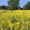 A field of yellow oilseed, A Visit from Rachel and Sam, Brome, Suffolk - 26th April 2009