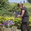 A flower bed, Summer Bike Rides, Thornham Magna, Suffolk - 1st June 2009