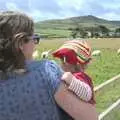 Fred looks at sheep, A Trip to Dingle, County Kerry, Ireland - 21st July 2009