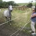 Nearby, a horse hangs around, A Trip to Dingle, County Kerry, Ireland - 21st July 2009