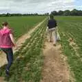 Crossing the parsley field, Emily and The Old Chap Visit, Brome, Suffolk - 29th August 2009