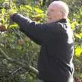 The Old Man gets stuck in , The Norfolk and Norwich CAMRA Beer Festival, and Apple Picking, Norfolk and Suffolk - 26th October 2009