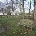 A bench in the quiet graveyard, Fred in Amandines, and The Derelict Church of St. Mary, Tivetshall, Norfolk - 13th December 2009