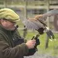A bloke with a kestrel, Easter in Chagford and Hoo Meavy, Devon - 3rd April 2010
