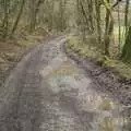 A wet path through the woods, Easter in Chagford and Hoo Meavy, Devon - 3rd April 2010