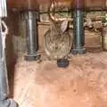 An injured rabbit hides under a kitchen cabinet, Pre-Wedding Beers at The Swan, Brome, Suffolk - 19th June 2010