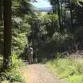 Walking down the hill, A Walk in Devil's Glen, County Wicklow, Ireland - 31st July 2010