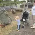 Fred looks at chickens, Camping with Trains, Yaxham, Norfolk - 29th August 2010