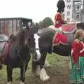 More Welsh horses, The Eye Show, Palgrave, Suffolk - 30th August 2010