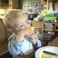 Back home, Fred munches on a corn cob, A Trip to Walberswick, Suffolk - 12th September 2010