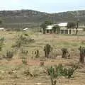 A community church and some cool cacti, Maasai Mara Safari and a Maasai Village, Ololaimutia, Kenya - 5th November 2010