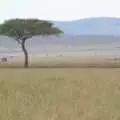 A classic Mara lonely tree, Maasai Mara Safari and a Maasai Village, Ololaimutia, Kenya - 5th November 2010