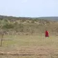 A herd of donkeys, Narok to Naivasha and Hell's Gate National Park, Kenya, Africa - 5th November 2010