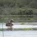 A blurry hippo, Narok to Naivasha and Hell's Gate National Park, Kenya, Africa - 5th November 2010