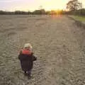 Fred in the sunset, Apple Pressing and Amandine's Jazz, Diss, Norfolk - 21st November 2010