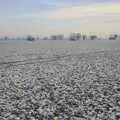 The snowy fields of Norfolk, Sledging, A Trip to the Zoo, and Thrandeston Carols, Diss and Banham, Norfolk - 20th December 2010