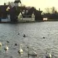 A procession of swans, A Trip to Thorpeness, Suffolk - 9th January 2011