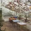 Inside a Thornham conservatory, Thornham Walks, and a Swiss Fondue, Thornham and Cambridge - 23rd January 2011