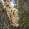 Carved owls in a tree, A Trip To The Coast, Walberswick, Suffolk - 20th March 2011