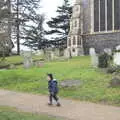 Fred roams around the grounds of St. Mary's Church in Diss, Winter Walks with Sis and Matt, Brome and Thornham, Suffolk - 11th February 2012