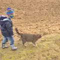 Fred, a stick and a stripey cat, Walking the Cat, Brome, Suffolk - 19th March 2012