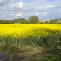 A yellow field of oilseed rape, The BSCC Cycling Weekend, The Swan Inn, Thaxted, Essex - 12th May 2012