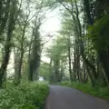The lane to Brockdish, The BSCC at Needham, and a Birthday By The Sea, Cley, Norfolk - 26th May 2012