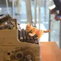 Chris's Tigger is on a typewriter, TouchType does Bletchley Park, Bletchley, Bedfordshire - 20th July 2012