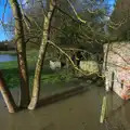 The water is nearly up to the top of the bridge, Flooding at the King's Bridge, and Lunch at the Beaconsfield Arms, Suffolk - 27th January 2013