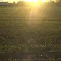 In the side field, winter wheat pops up, A November Miscellany and Building Progress, Thornham and Brome, Suffolk - 17th November 2013