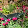 A wheelbarrow is overgrown with flowers, A Trip to Audley End House, Saffron Walden, Essex - 16th April 2014