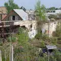 Nature slowly takes over the derelict site, Brantham Dereliction, and a SwiftKey Photoshoot, Suffolk and Southwark - 29th April 2014