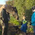 Fred feeds Chinner some carrots, The BBs do a Recording, Hethel, Norfolk - 18th January 2015