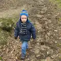 Harry gets his stroll on, A Trip to Grandma J's, Spreyton, Devon - 18th February 2015