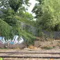 Graffiti is covered by foliage, It's a SwiftKey Knockout, Richmond Rugby Club, Richmond, Surrey - 7th July 2015