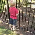 Harry gets his head stuck in some railings, The BBs at Bacton, and Abbey Gardens, Bury St. Edmunds, Suffolk - 19th July 2015