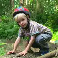 Harry on a tree, The Archaeology of Dunwich: A Camping Trip, Dunwich, Suffolk - 1st August 2015