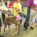 A racing greyhound, A Race For Life, The Park, Diss, Norfolk - 16th August 2015