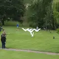 There's some goose aggro down by the Mere, A Race For Life, The Park, Diss, Norfolk - 16th August 2015