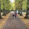 Harry and Isobel head off to The Swan, Apple Picking and The BBs at Framingham Earl, Norfolk - 25th October 2015