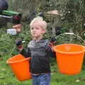 Harry's got a couple of buckets, Apple Picking and The BBs at Framingham Earl, Norfolk - 25th October 2015